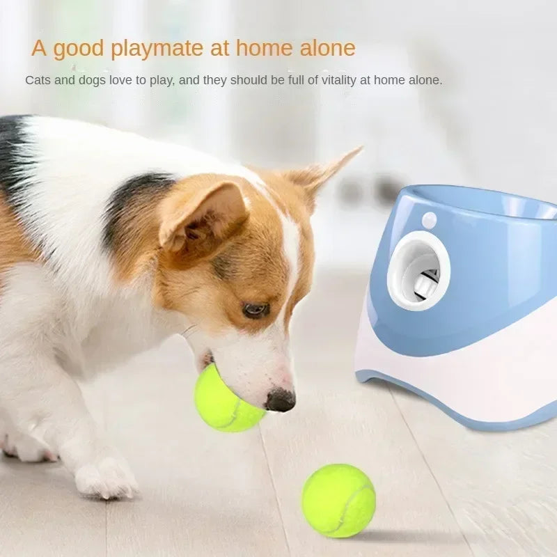 Pet-Ball Lanzador de pelotas Automático para Perros