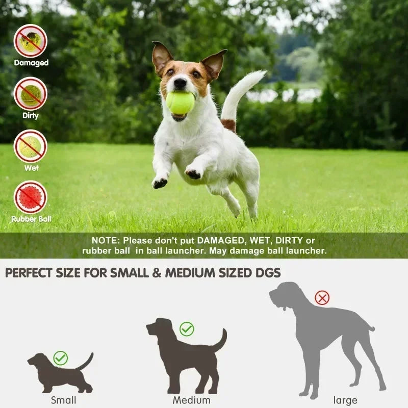Pet-Ball Lanzador de pelotas Automático para Perros