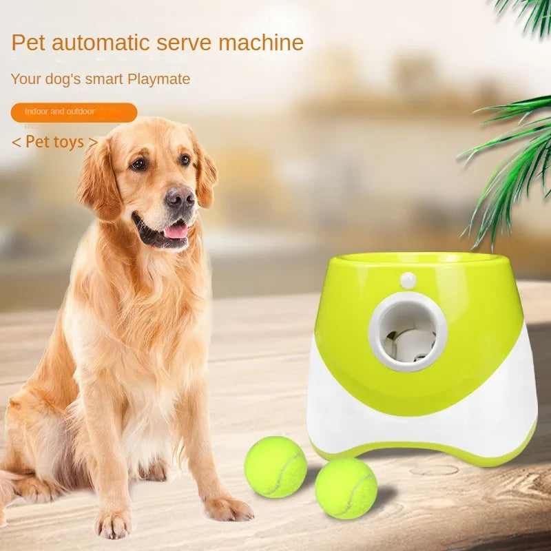 Pet-Ball Lanzador de pelotas Automático para Perros