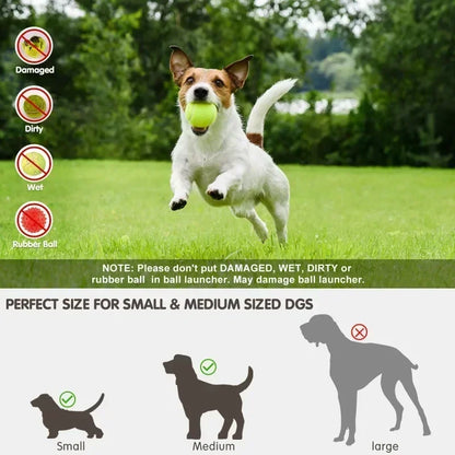 Pet-Ball Lanzador de pelotas Automático para Perros