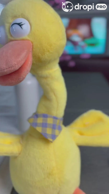 Pato bailarín hablador